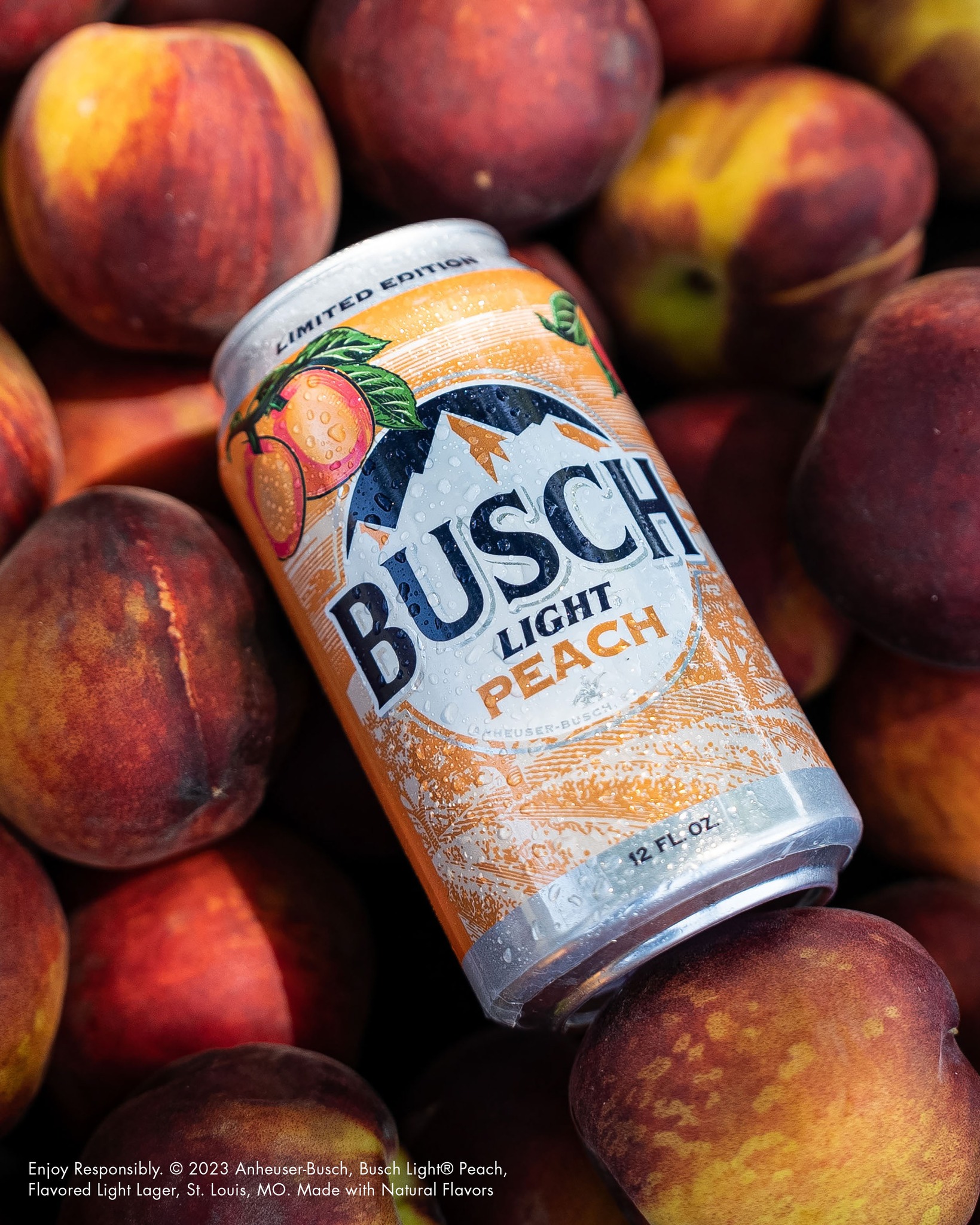 Busch Light Peach is not terrible! You might even like it.
