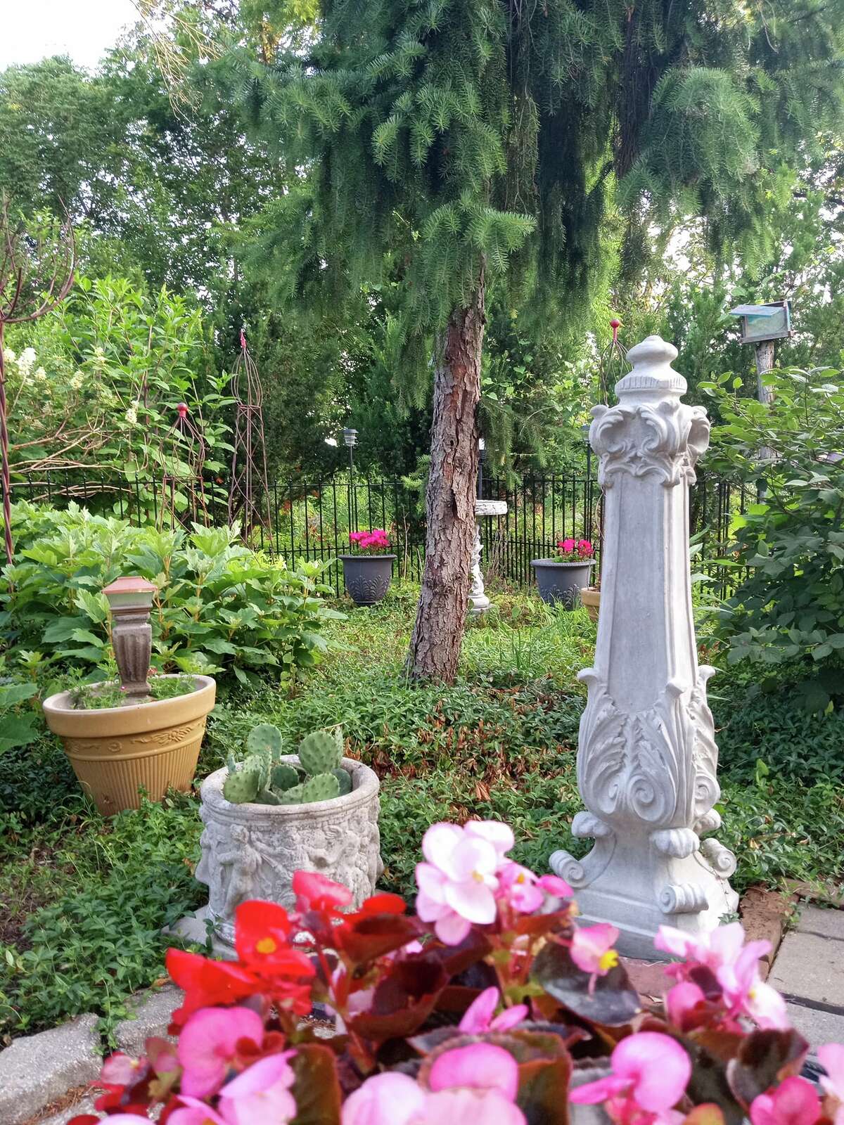 KTRS anchor Steve Potter's Alton garden on Pride Inc. tour
