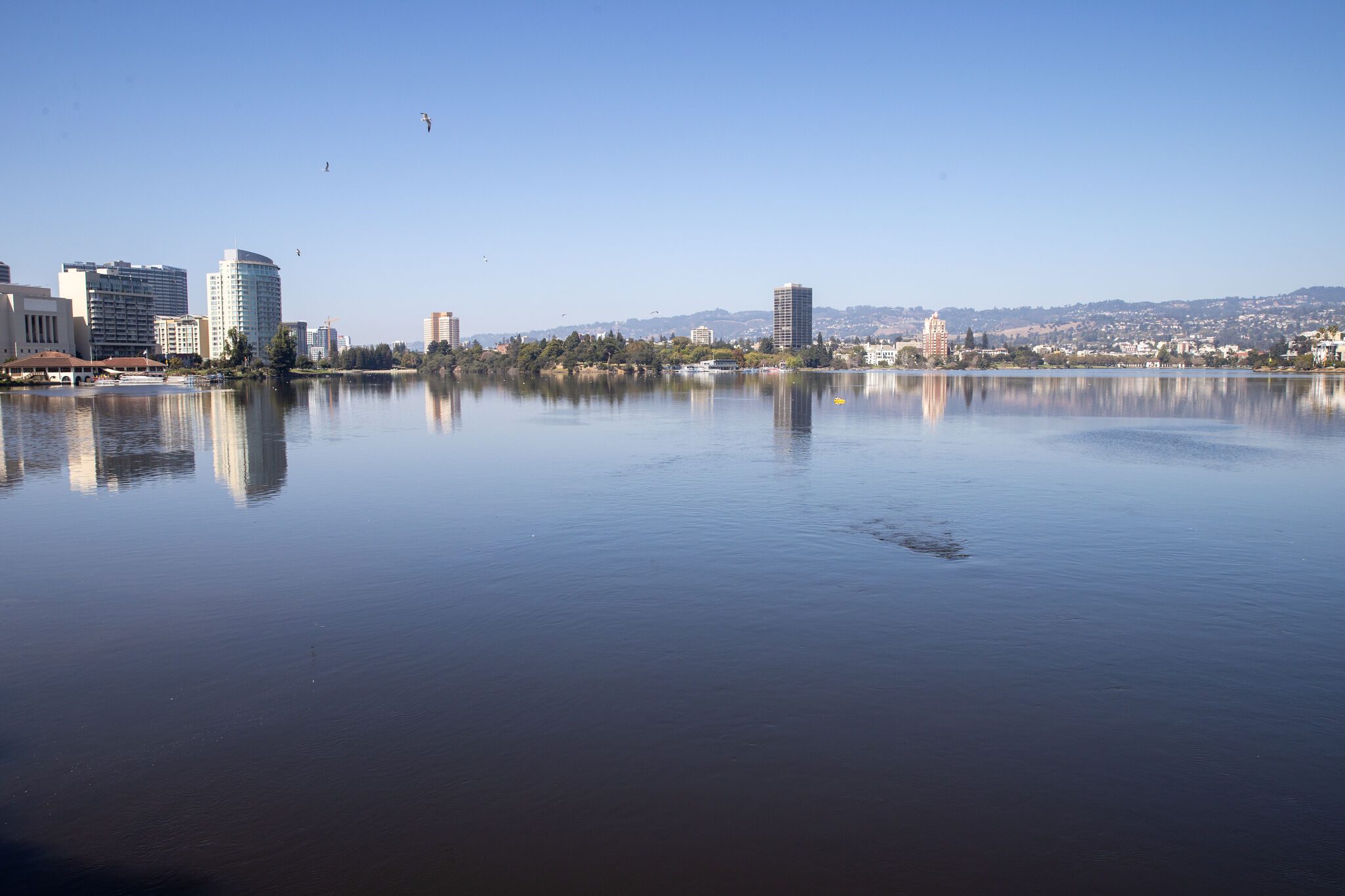 Oakland%27s+Lake+Merritt+Ducks+Receive+New+Luxury+Floating+Habitat