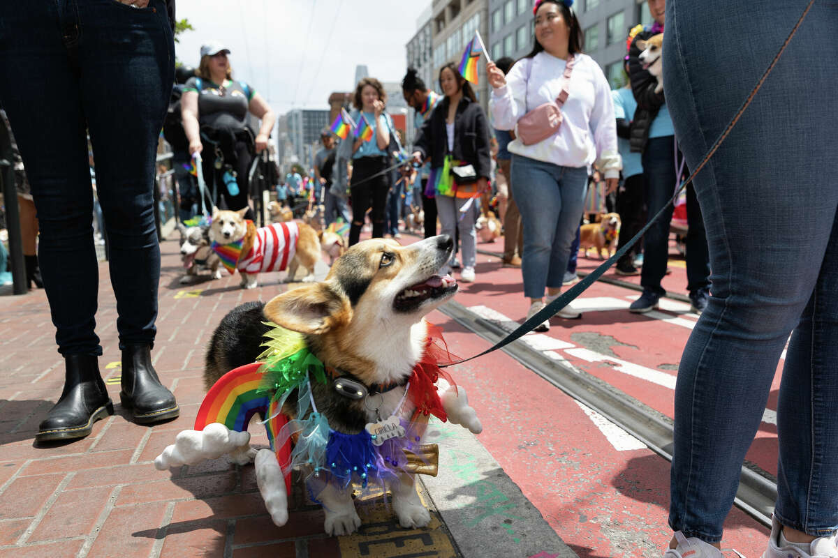 San Francisco Pride 2023 brings colorful costumes and fierce fits