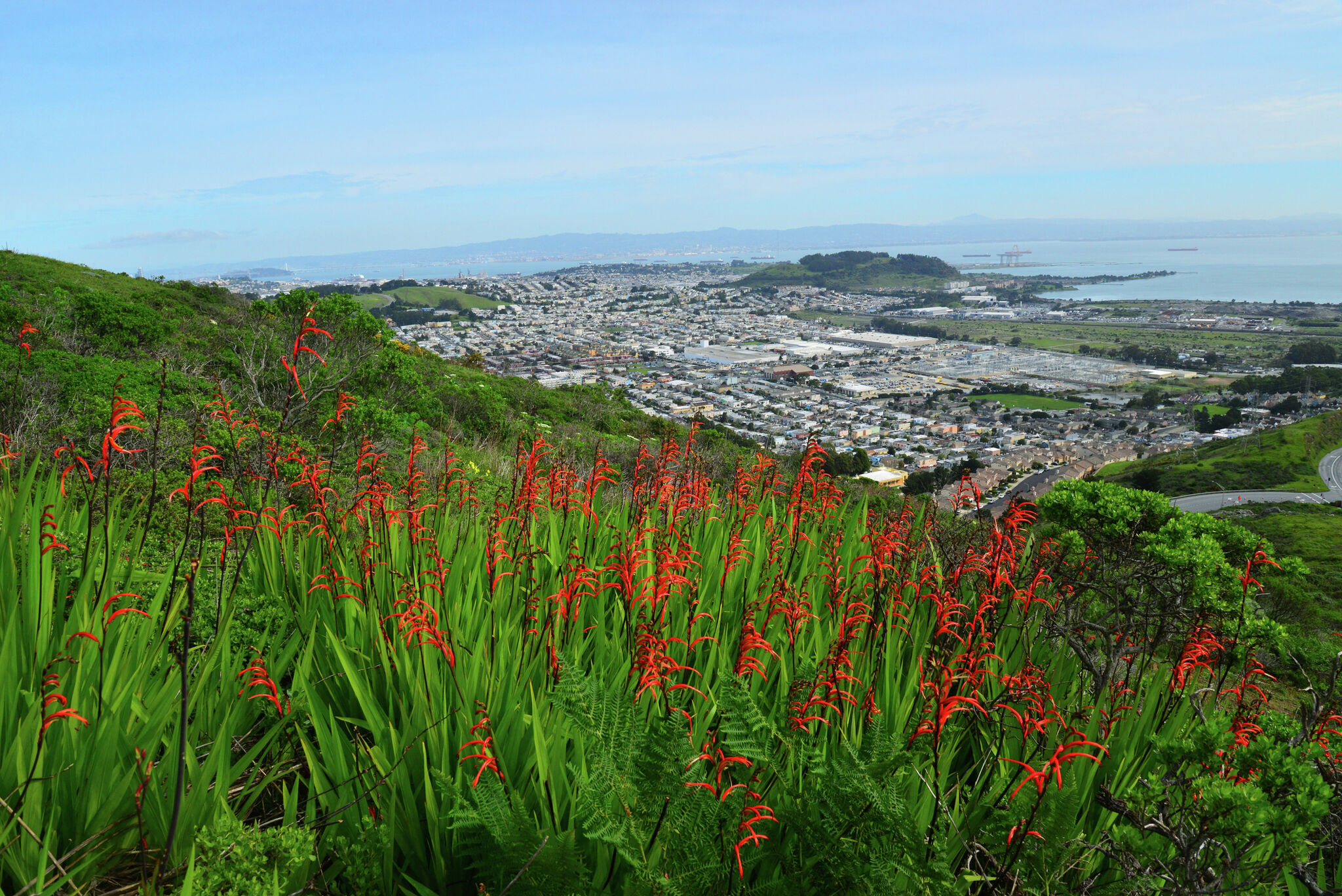 A guide to California’s San Bruno Mountain State & County Park