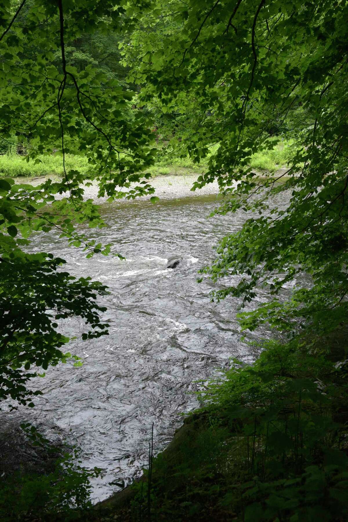 The Housatonic River flows next to a Sega Meadows Park section of the New Milford River Trail. Officials want to connect the New Milford River Trail to the Still River Greenway, in Brookfield. The trail; currently extends for five miles from the Boardman Road entrance to Gaylordsville. It runs on a crushed, gravel surface through Sega Meadows Park, where it joins the unpaved and lightly trafficked River Road, and continues to the center of Gaylordsville at Route 7. Monday, June 26, 2023, New Milford, Conn.