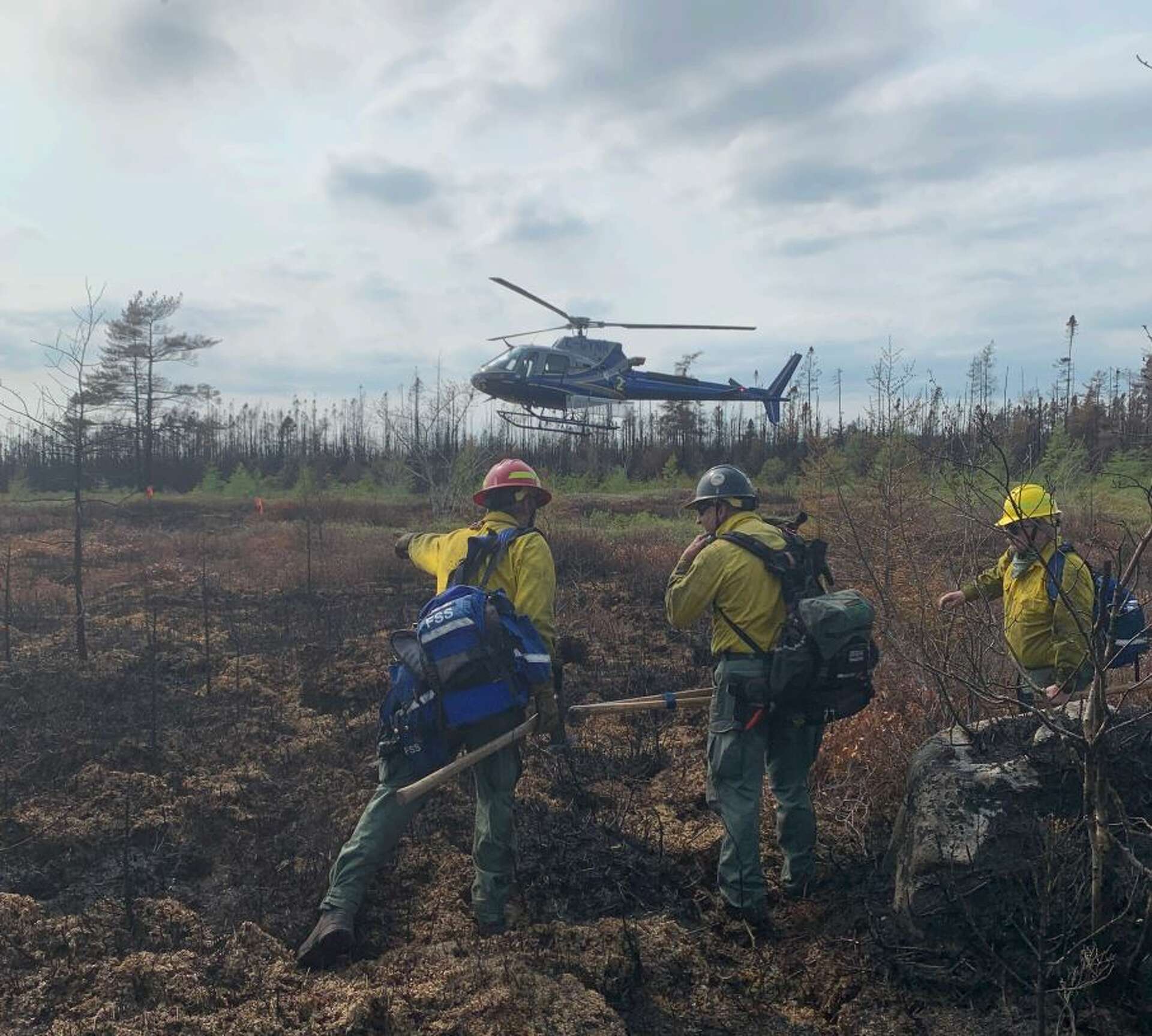 New York forest rangers rushed to fire danger in Canada