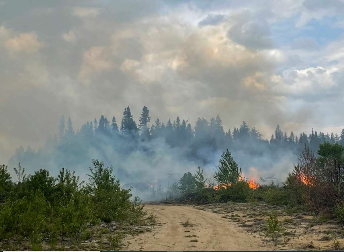 new york during canada forest fire