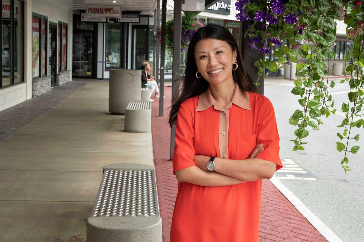 Stuyvesant Plaza gets upgrades