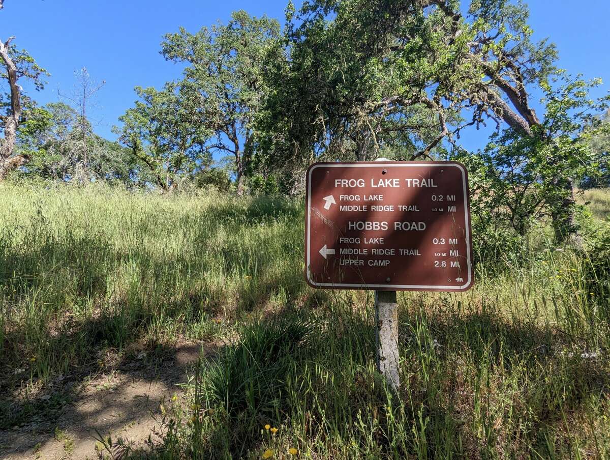 A trail sign in Henry W. Coe State Park.