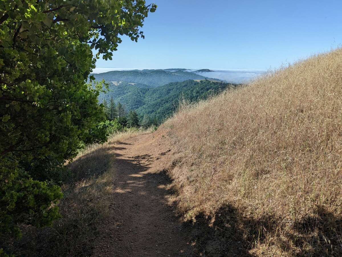 The morning fog, a staple of any Bay Area trek, seen from Henry W. Coe State Park.