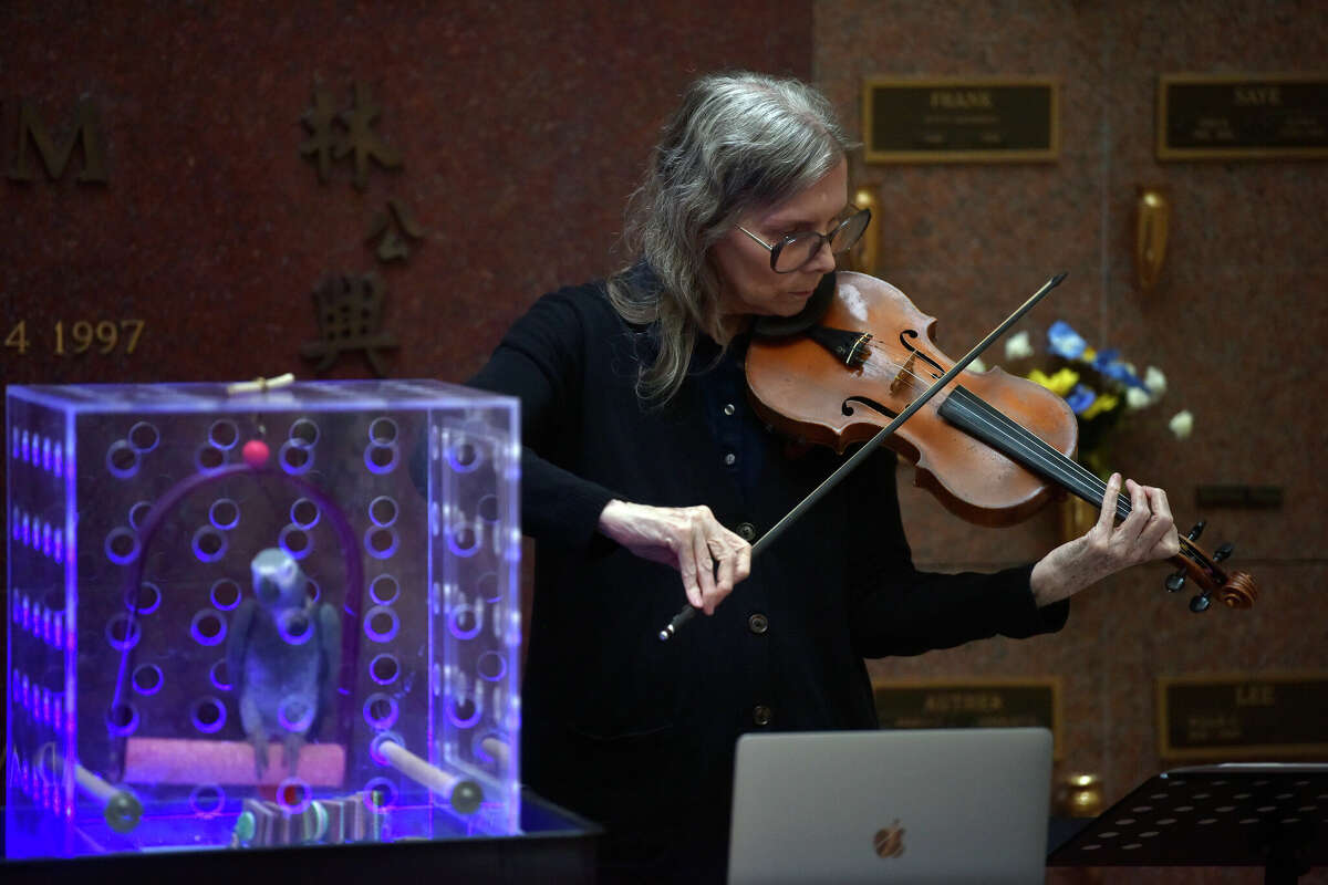 Musician Wendy Reid plays near her African grey parrot Lulu during a performance at the Garden of Memory event inside Chapel of the Chimes in Oakland, Calif., on June 21. 