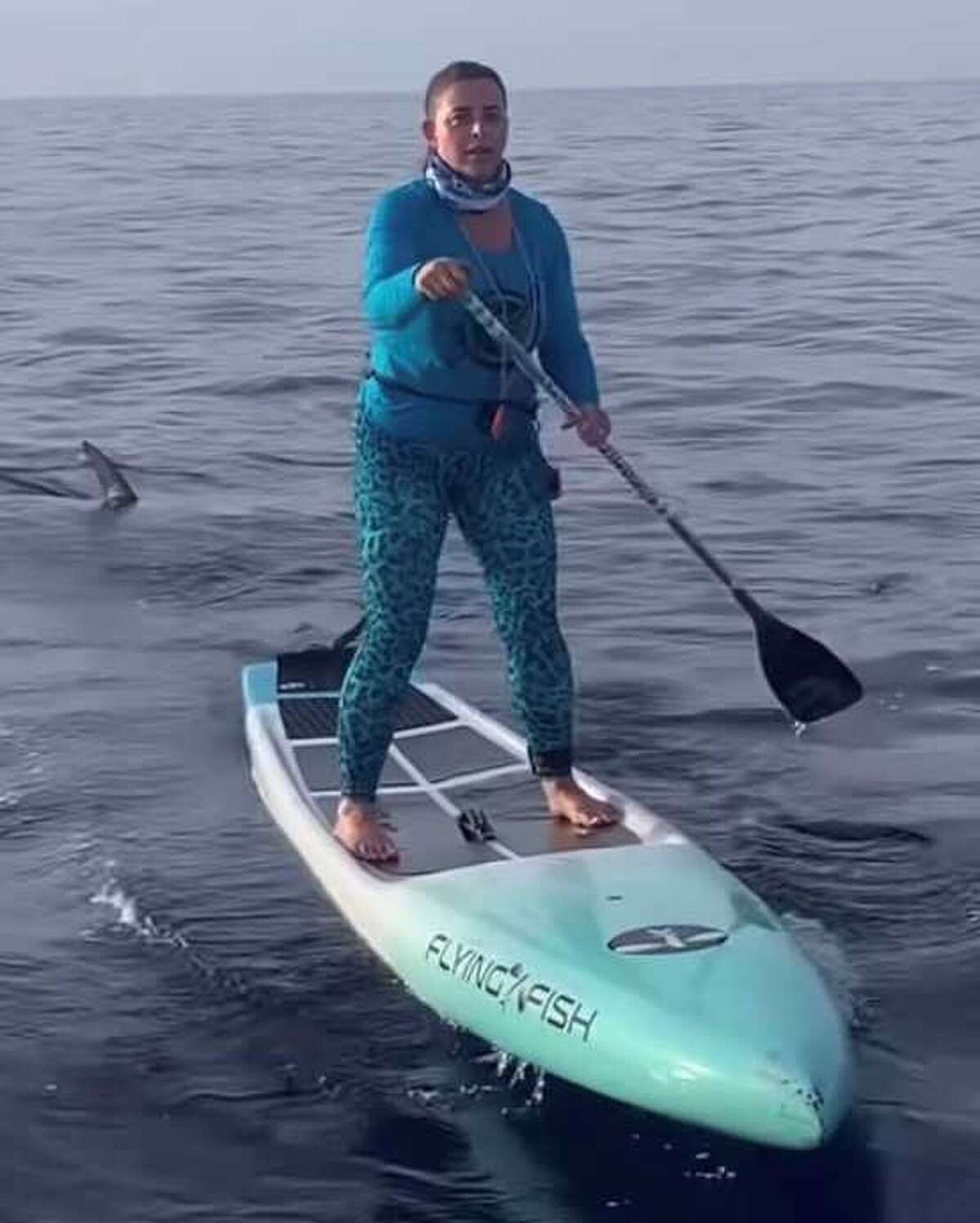 Caught on video Woman on paddleboard has close encounter with