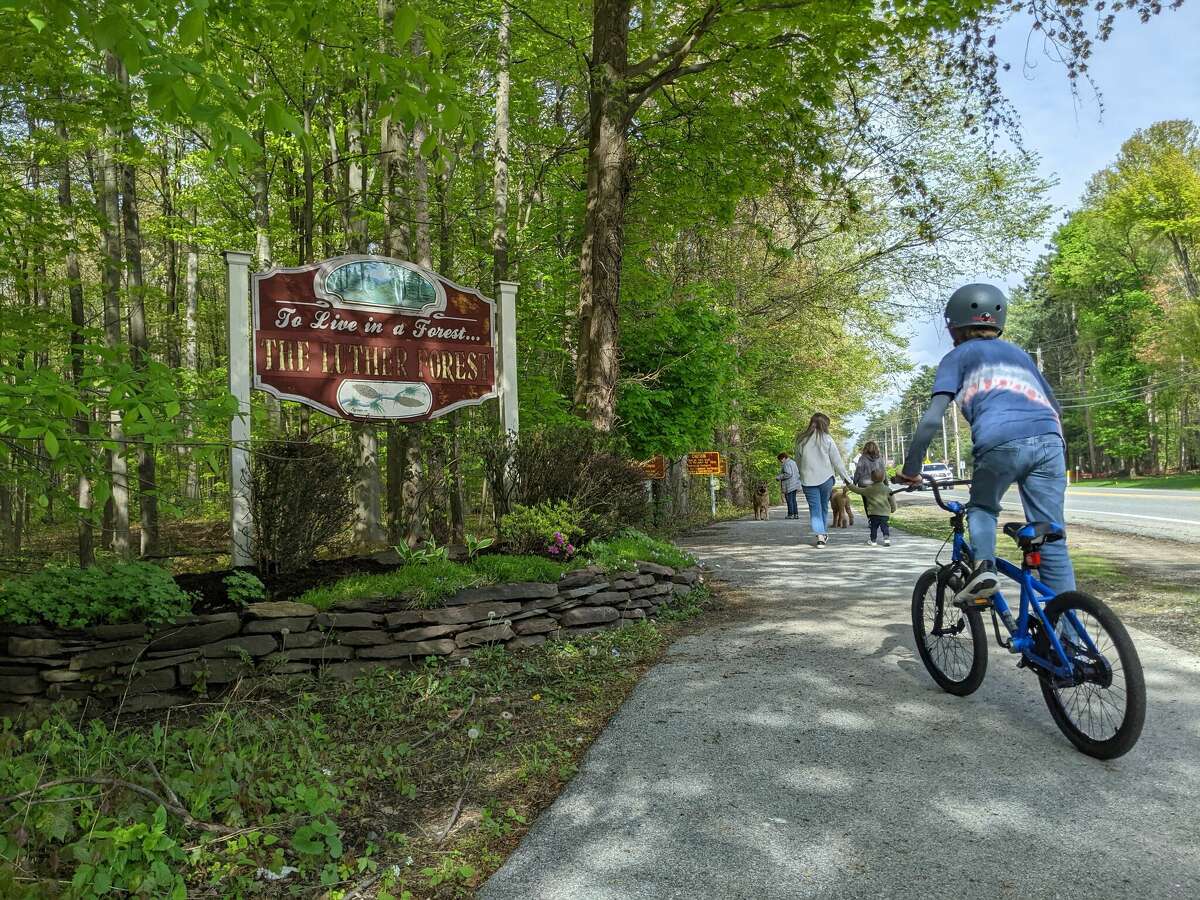 Commentary Protect Luther Forest plot under the state '30 x 30' plan