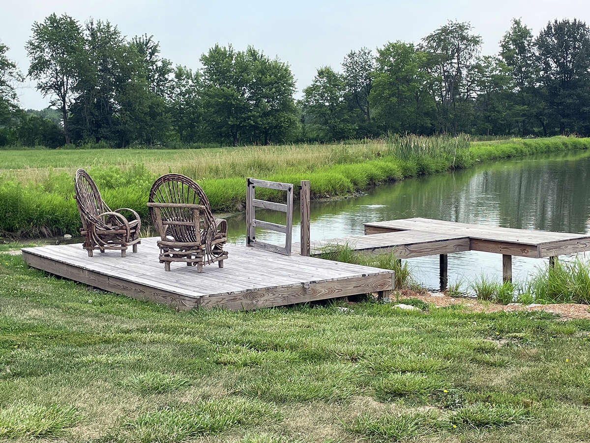 Edwardsville sisters' lavender farm flourishes as 3rd season nears end