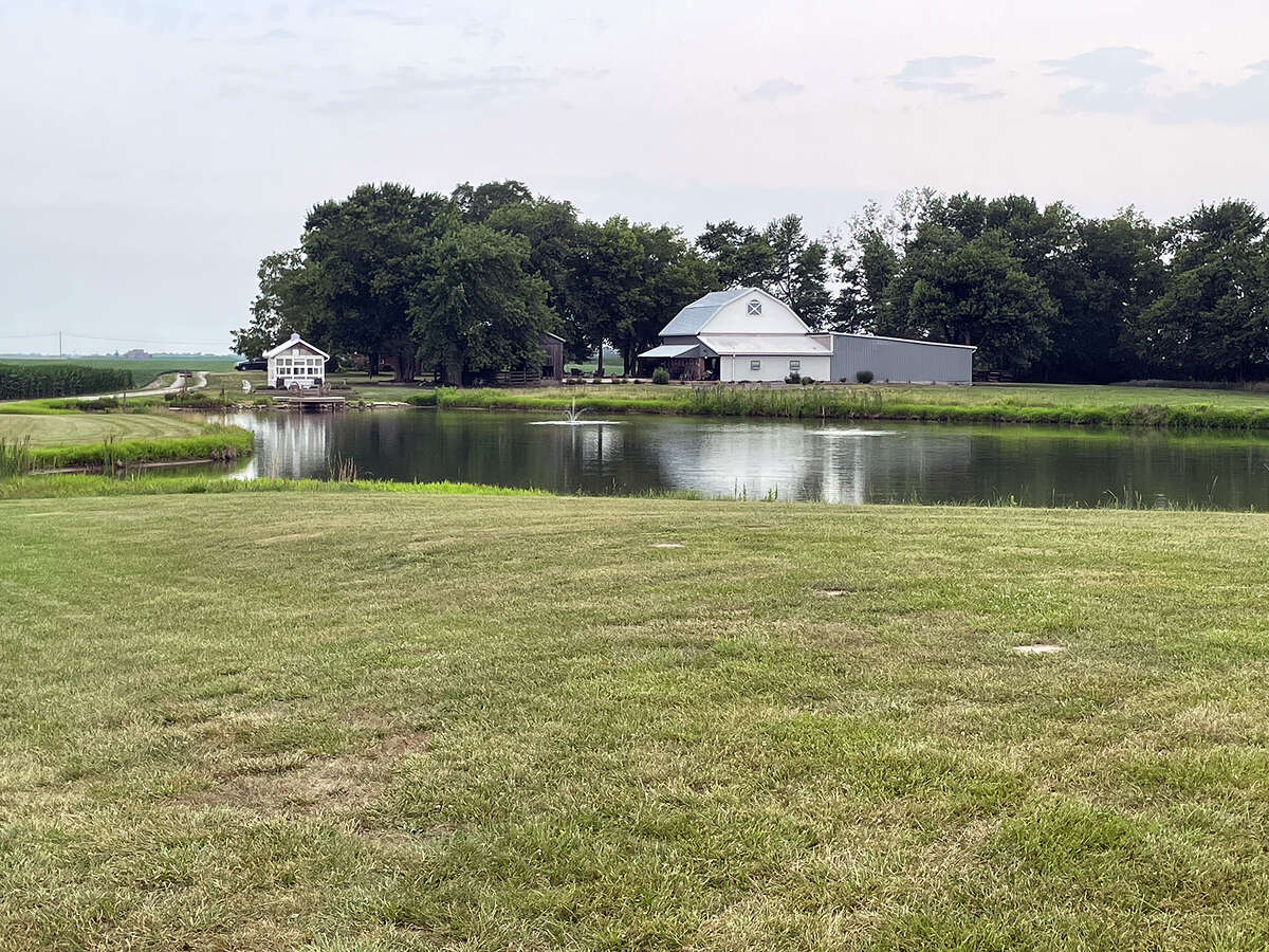 Edwardsville sisters' lavender farm flourishes as 3rd season nears end