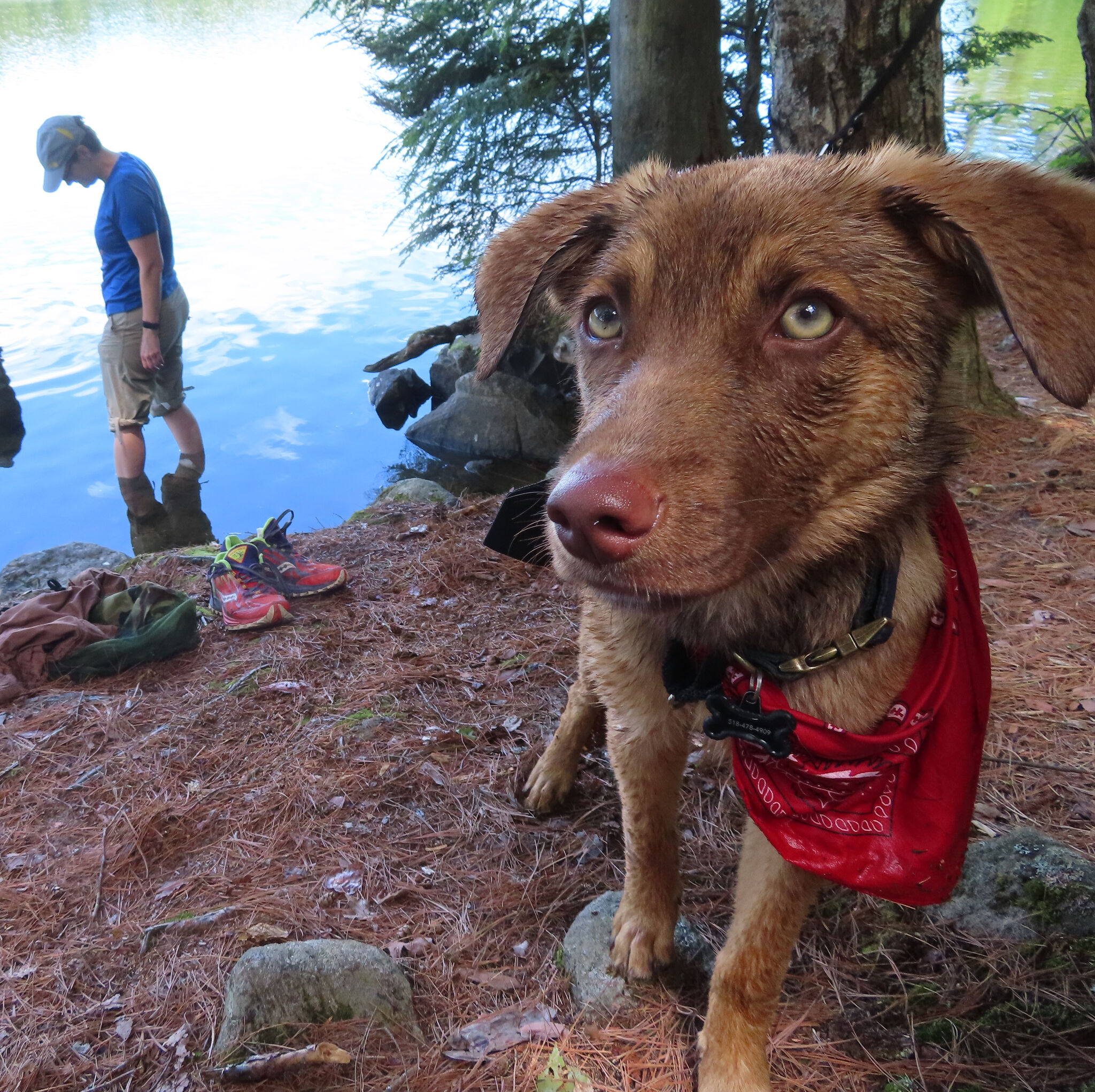 Finding serenity in Pharaoh Lake Wilderness during a trip to the Adirondacks