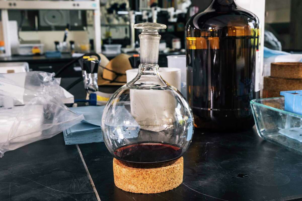 Winkler Index sparked California wine. What if it was wrong?