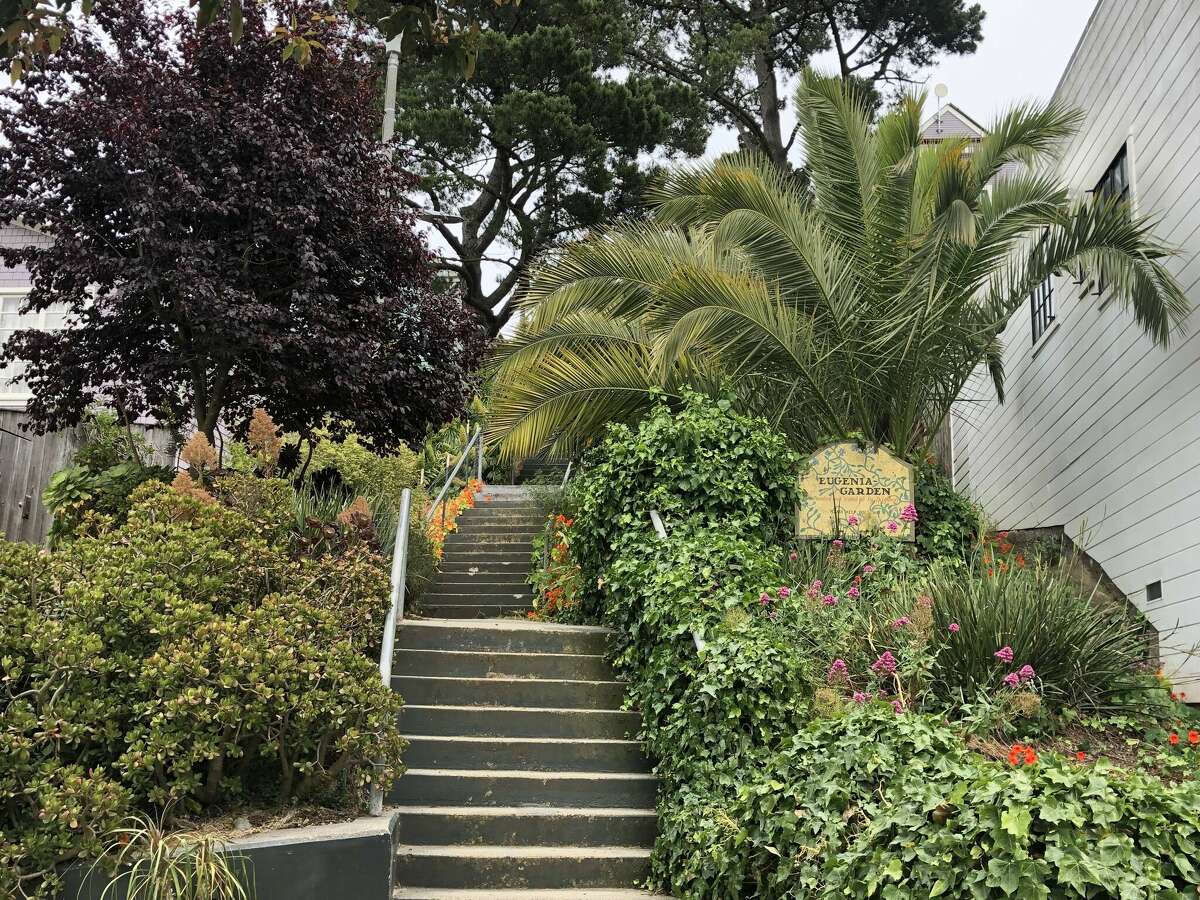 It s not easy to run away from your san francisco home