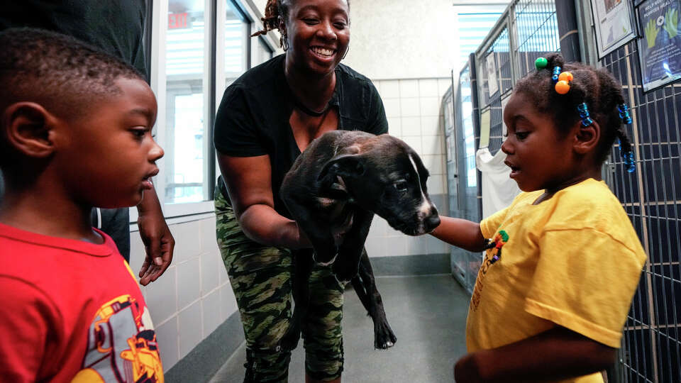 Vinnicia Hollins shows a puppy to Lorenzo Hollins and Jazlyn Doyle as she and her family search for a dog to adopt at BARC Houston on Wednesday, June 28, 2023 in Houston. The live release rate at the city's animal shelter is dropping amid an influx of strays, and stalling transfers and adoptions.