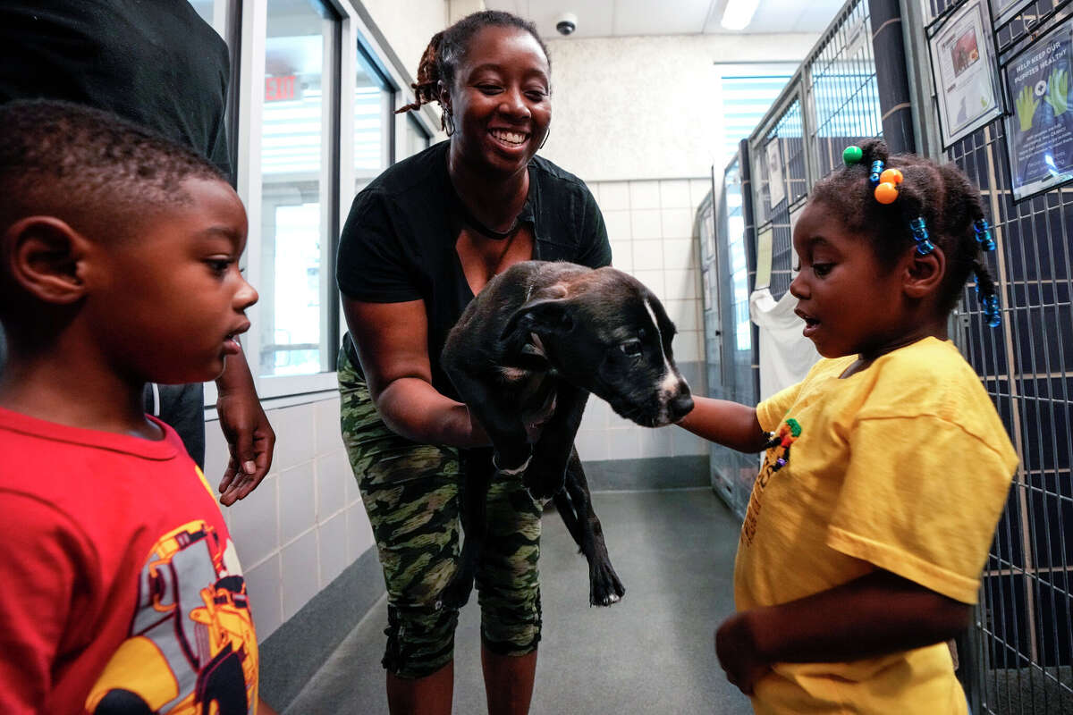 Story photo for How to donate and volunteer at organizations across the Houston area