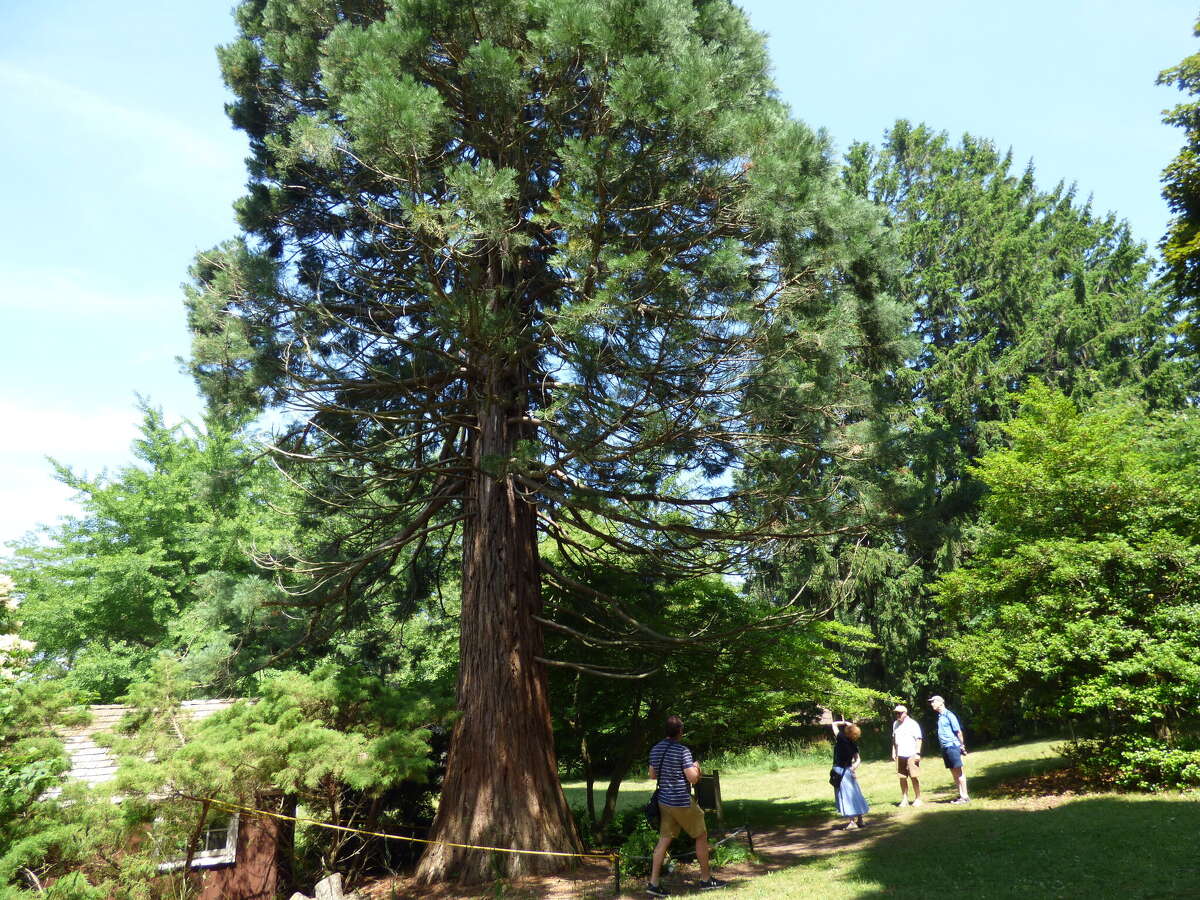 Manistee Forest Festival highlighted See what drew the large crowds