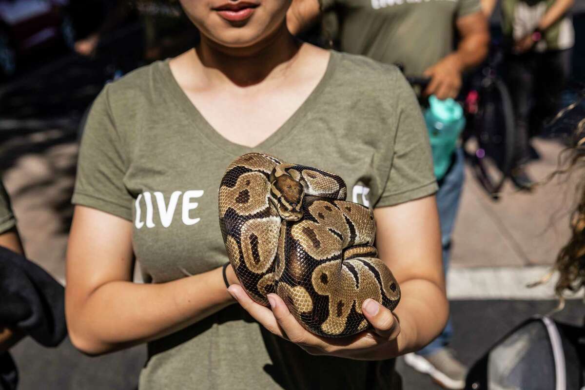 East Palo Alto marks its 40th anniversary with parade, music and pride