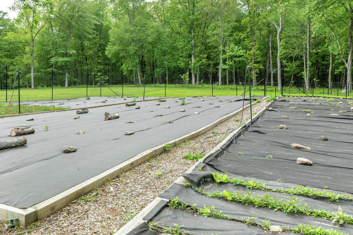Roxbury hills home with 8car garage, lofted library listed for 3.3M