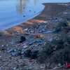 一幅静态图像从一个视频的西风湾东部海岸的太浩湖垃圾和残骸散落一地。
