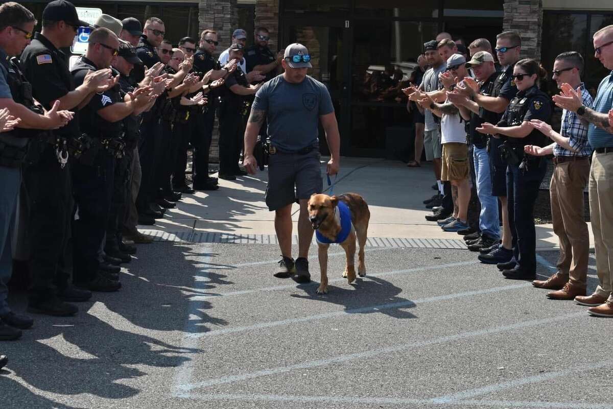 police dog bites