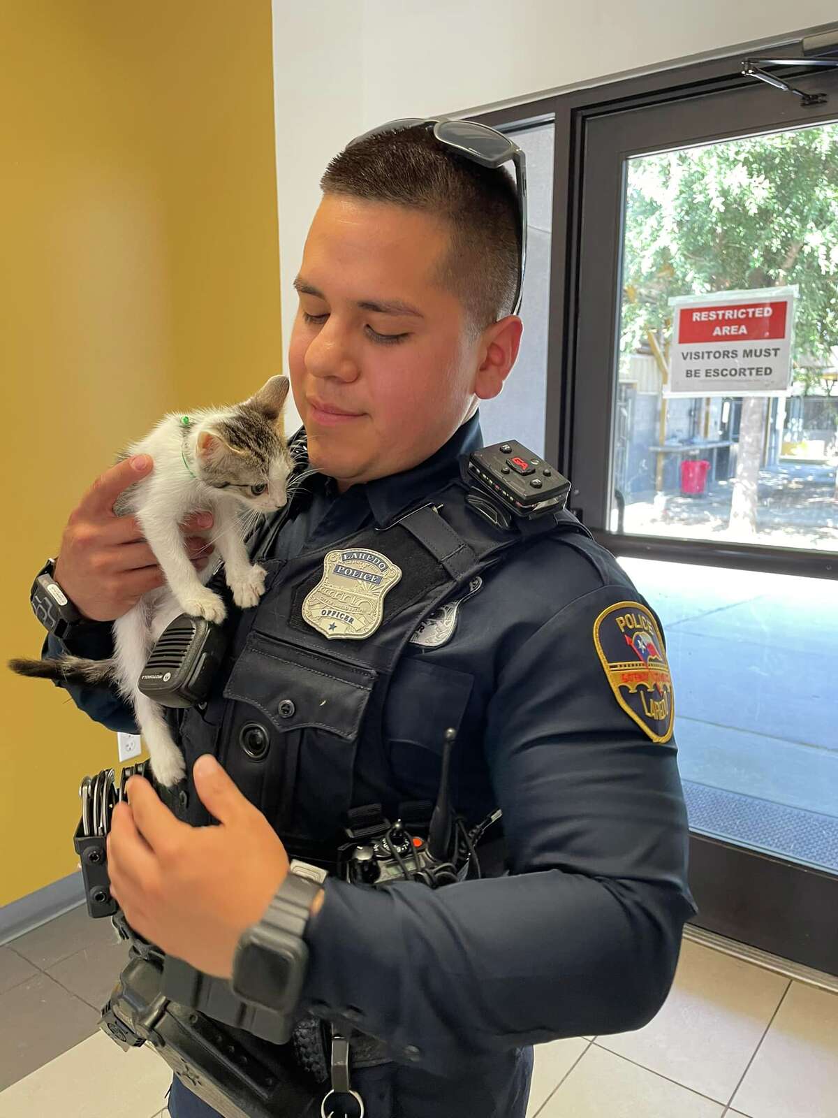 Laredo police present Pets of the Week available for adoption