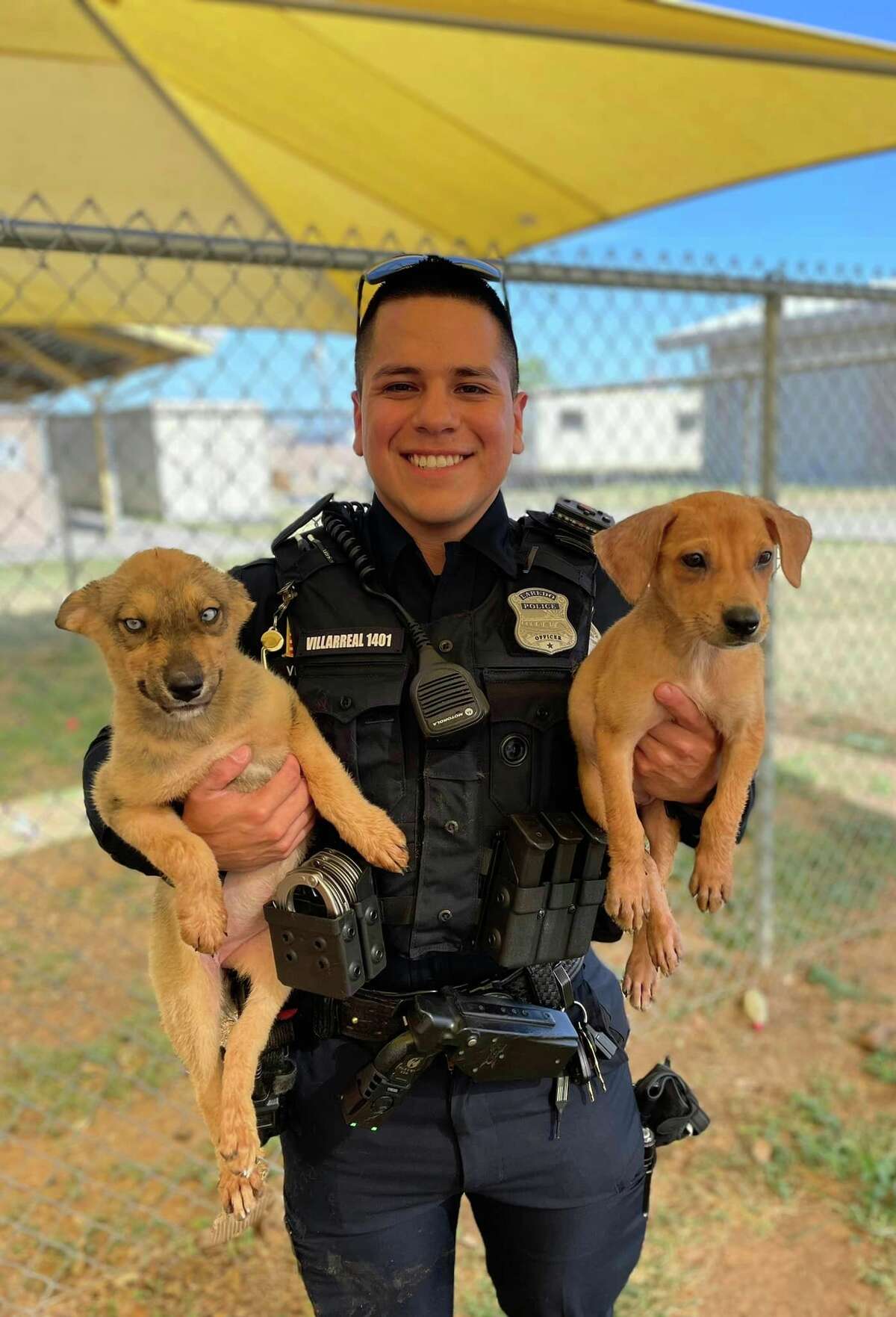 Laredo police present Pets of the Week available for adoption