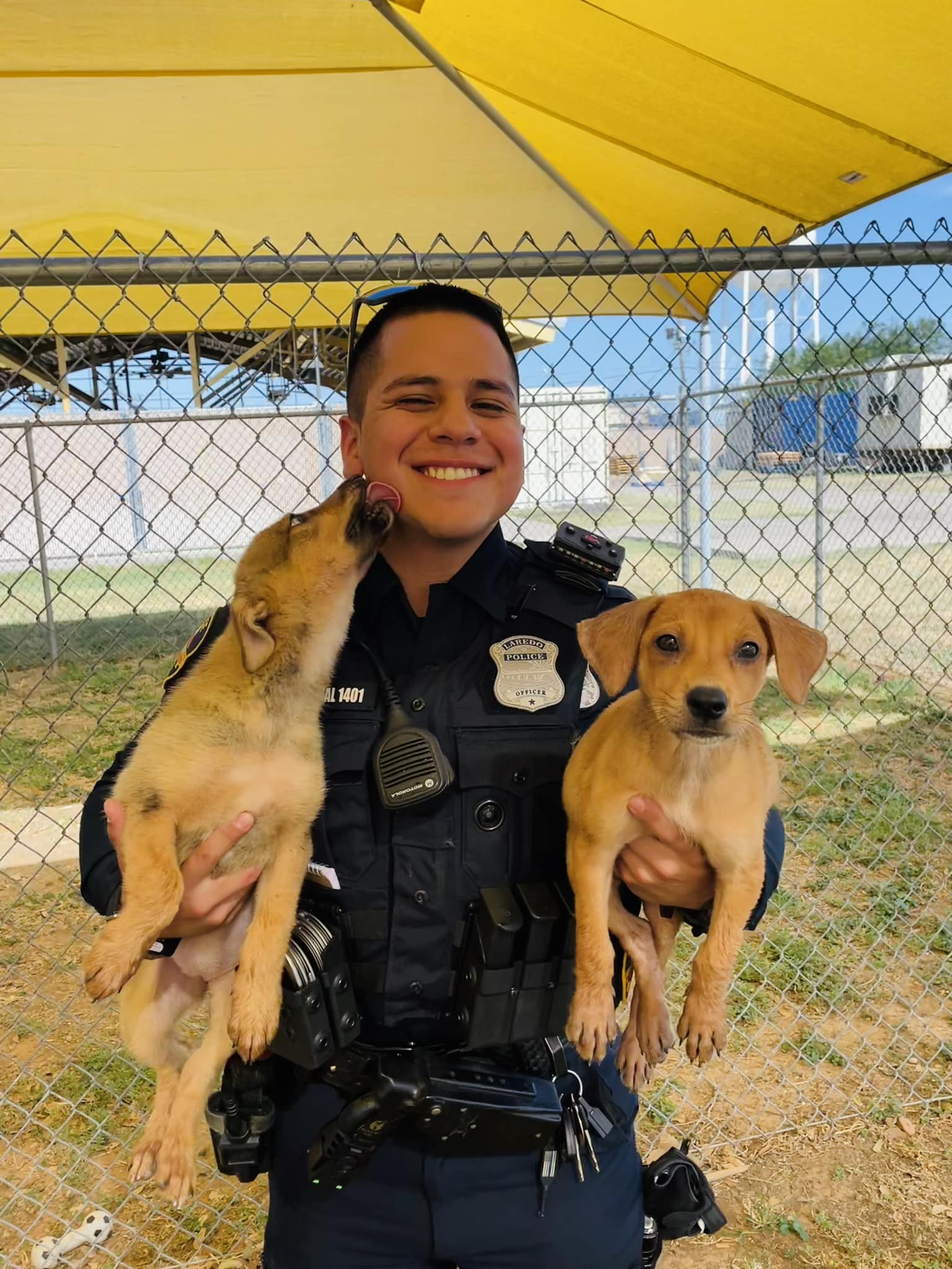 Laredo police present Pets of the Week available for adoption