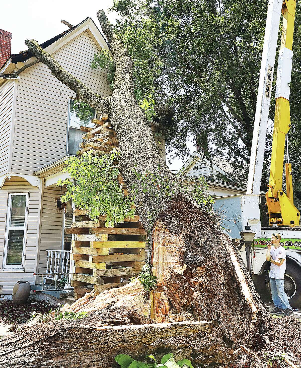 Cribbing aids tree removal in Alton