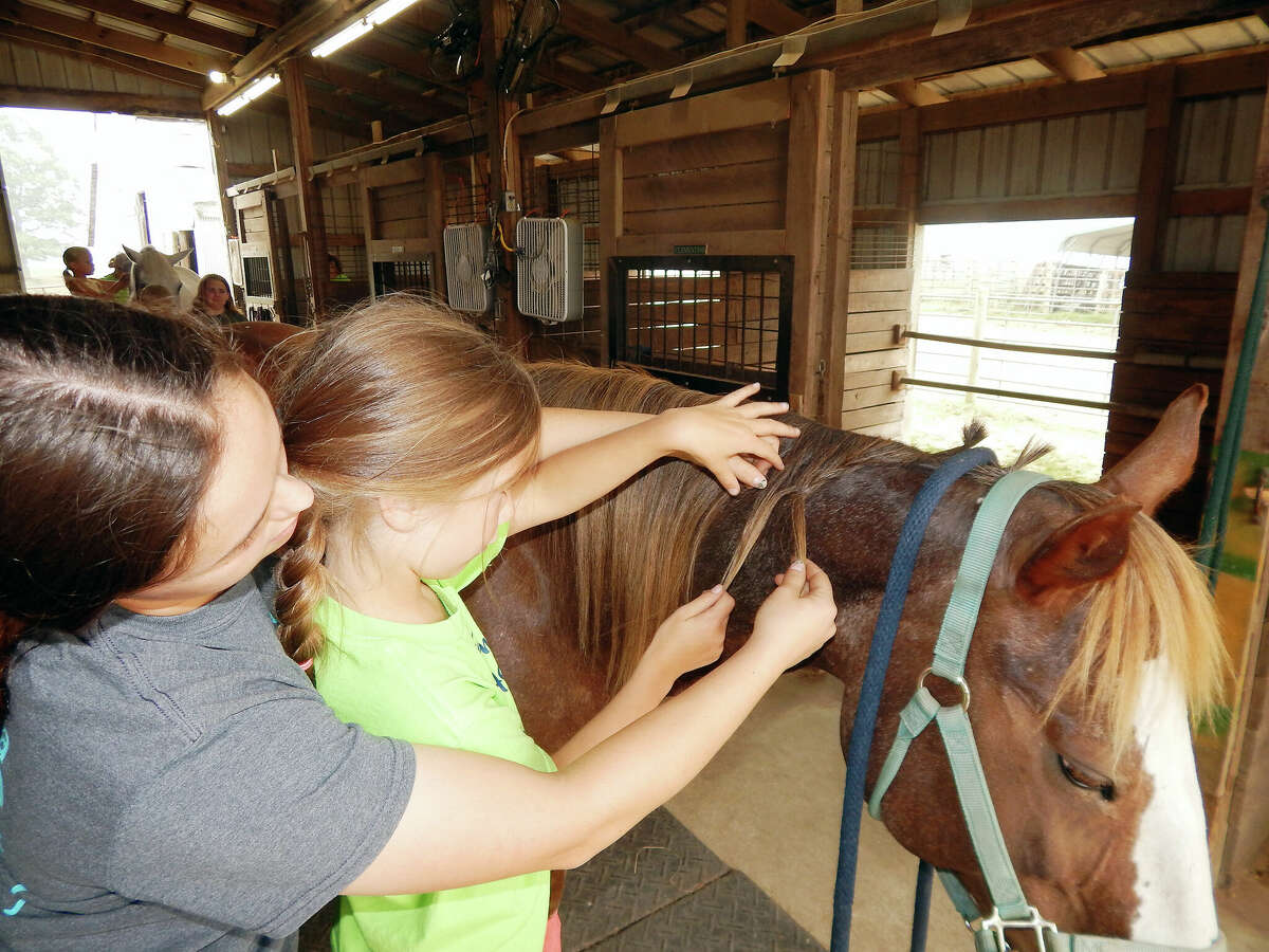 How To Braid A Horse's Mane 