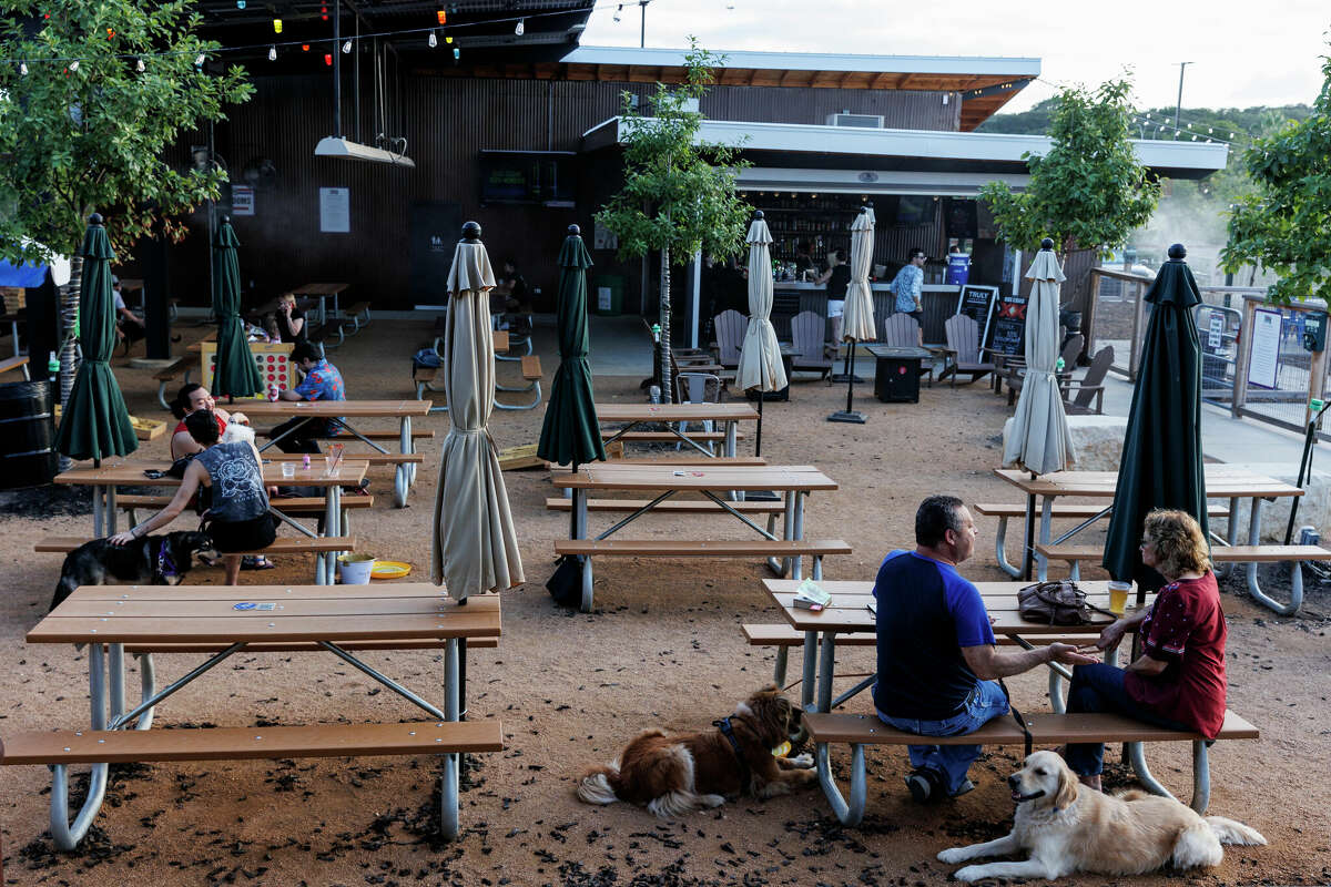 Texas Dog Co designed with humans, pets in mind