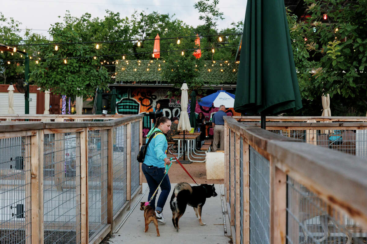 Texas Dog Co designed with humans, pets in mind