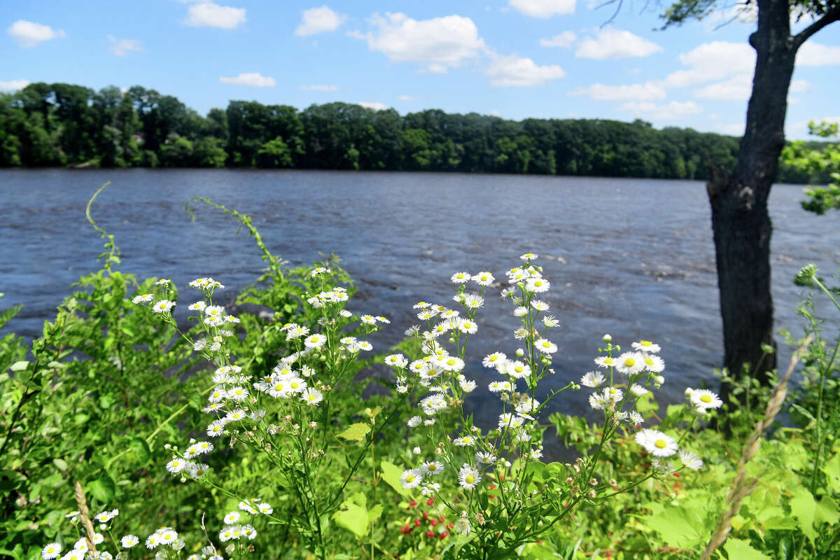 Sewage plant in Massachusetts dumping into Connecticut River
