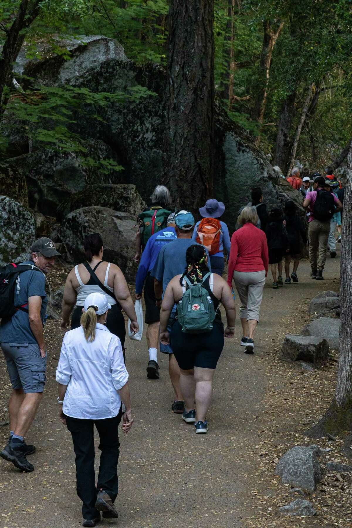 Yosemite’s top official says reservation system could return