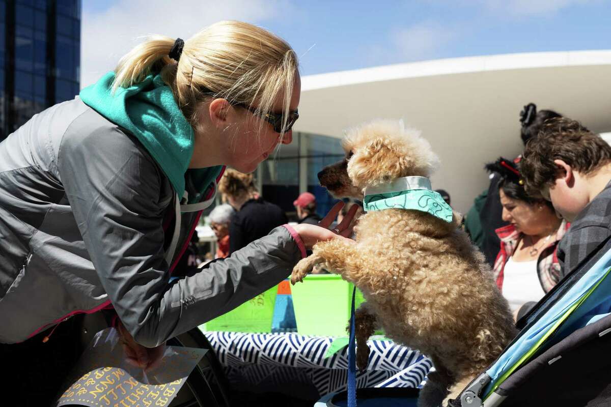 Margaret Ostermann holds Charlie, her 12-year-old poodle, at the event. 