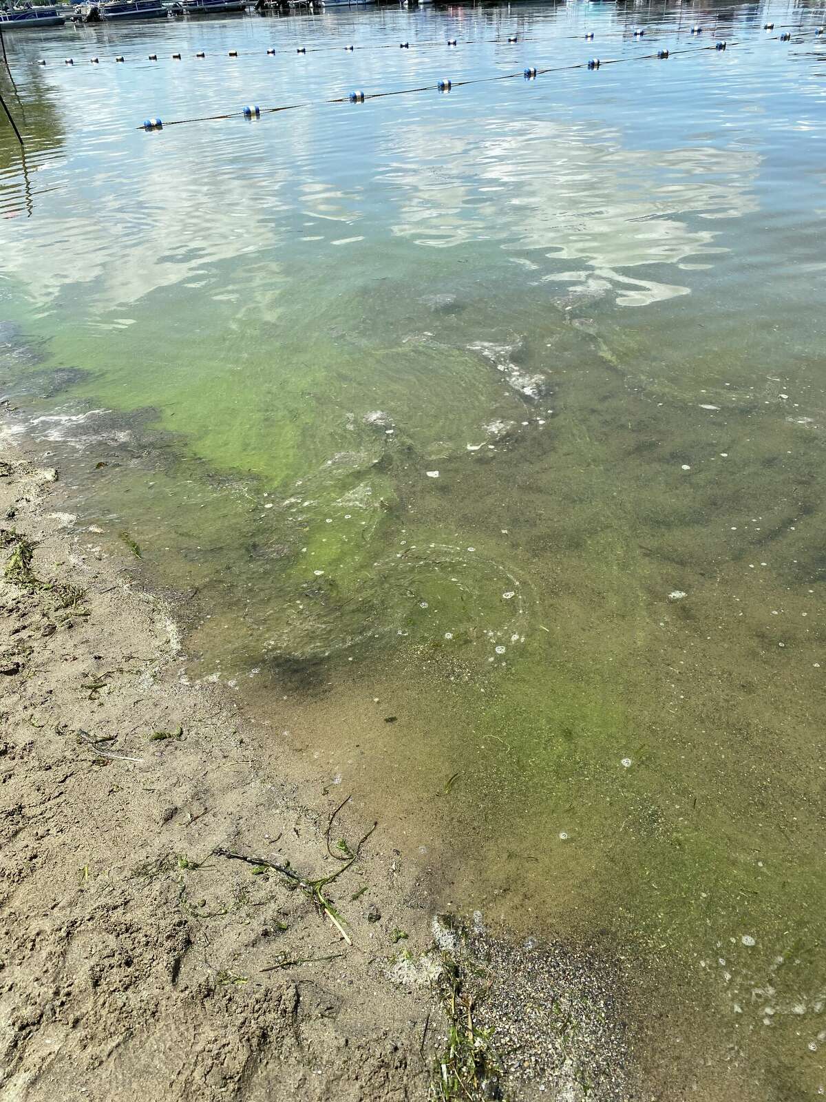 Brown's Beach remains closed over algae concerns