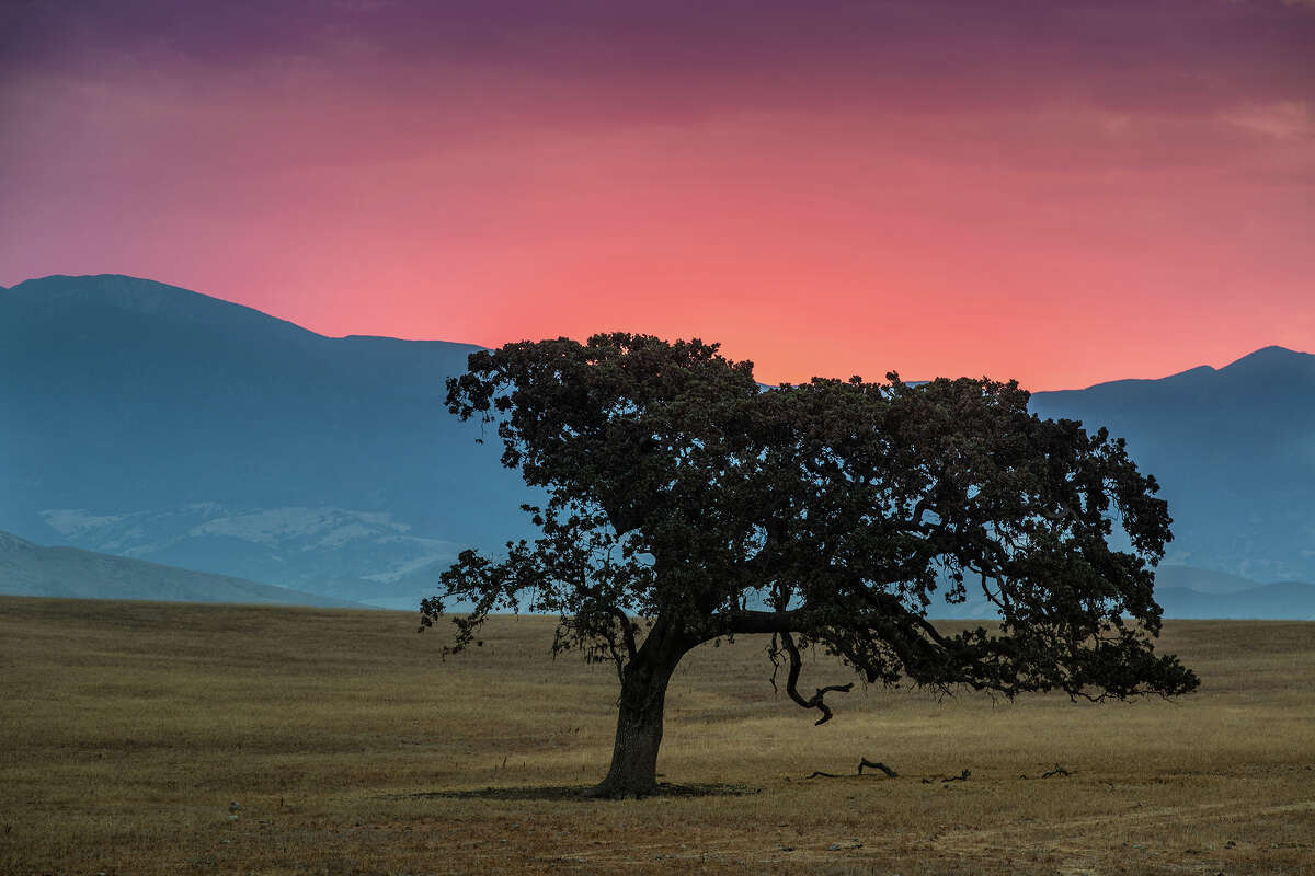 Though California's Central Coast has entered its third year of extreme and exceptional drought, unusual tropical moisture is passing over the region as viewed on August 1, 2022, near Santa Ynez, Calif. 