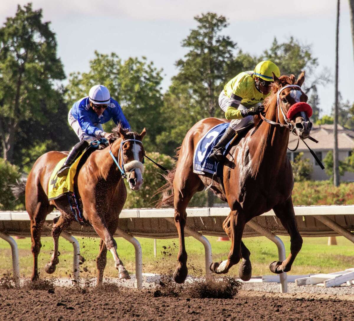 Katonah wins Pleasanton Mile, $152K as local horseracing purses grow