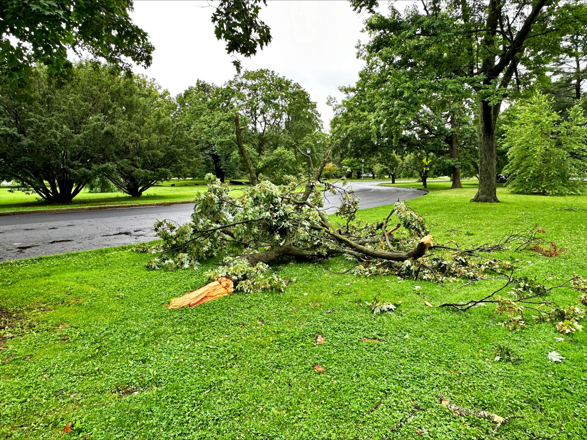 Thunderstorms Could Bring High Winds Hail Flooding To Albany Area