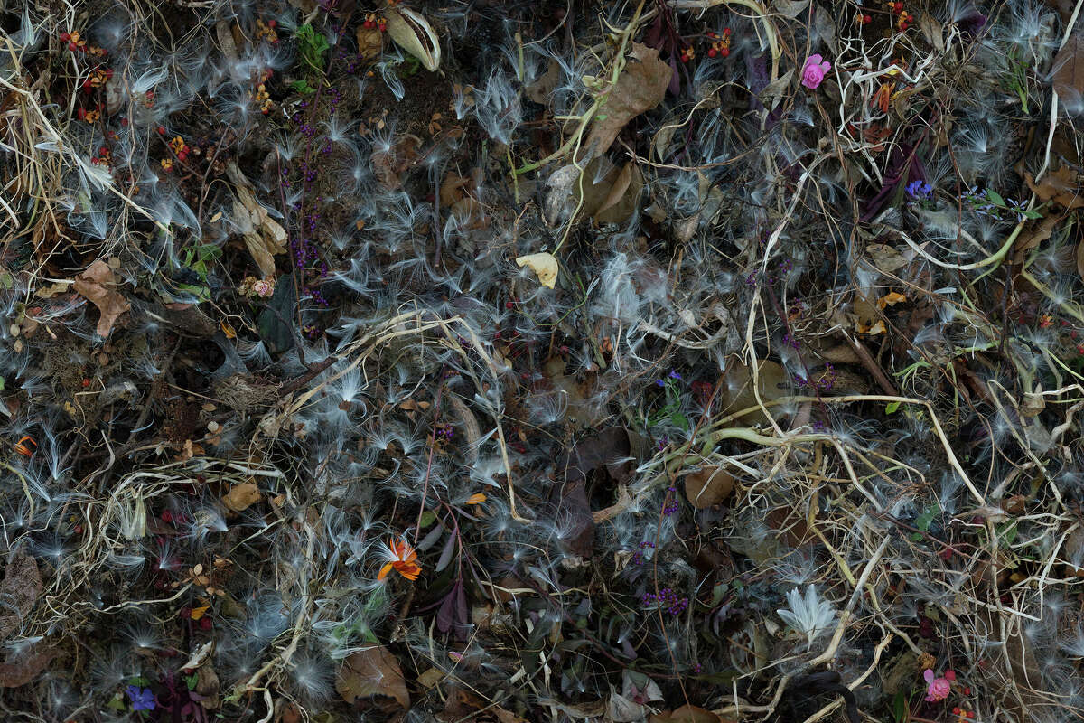 “Woven” is a large-scale conceptual photography project by Tanya Marcuse. Constructed still-life allover tapestry compositions influenced by medieval tapestry, “The Garden of Earthly Delights” by Hieronymus Bosch and abstract expressionism. Above, a detail from “Woven Nº 11.”
