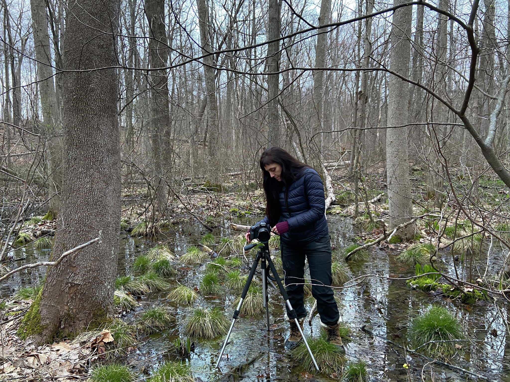 Nature’s Growth and Decay Explored Through the Lens of Photographer Tanya Marcuse