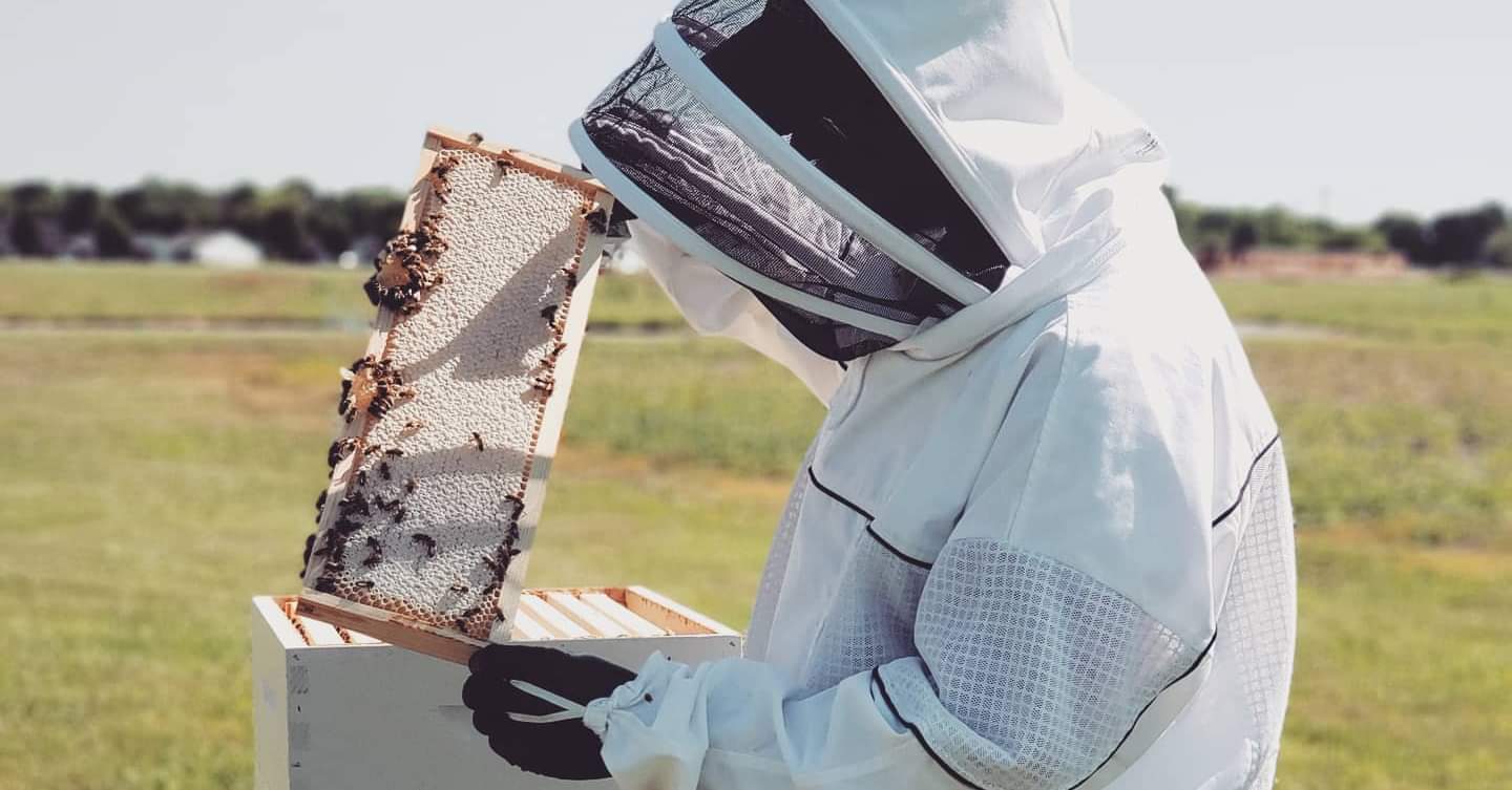 Beginner Beekeepers  Three Rivers Beekeeping Club - St. Charles MO