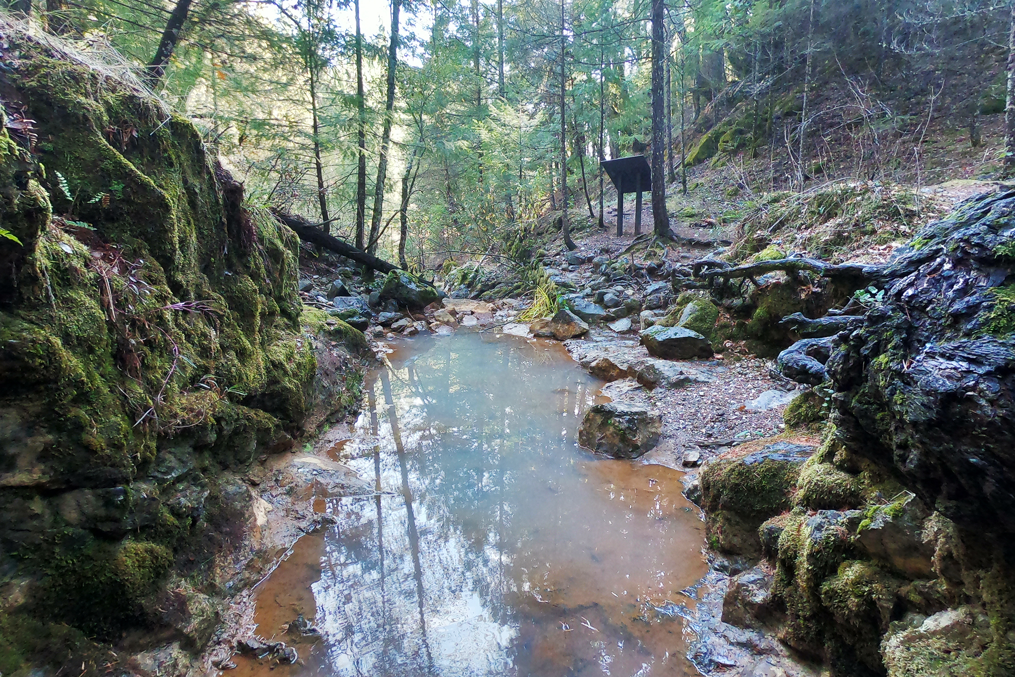 Can you still find gold in Northern California foothills?