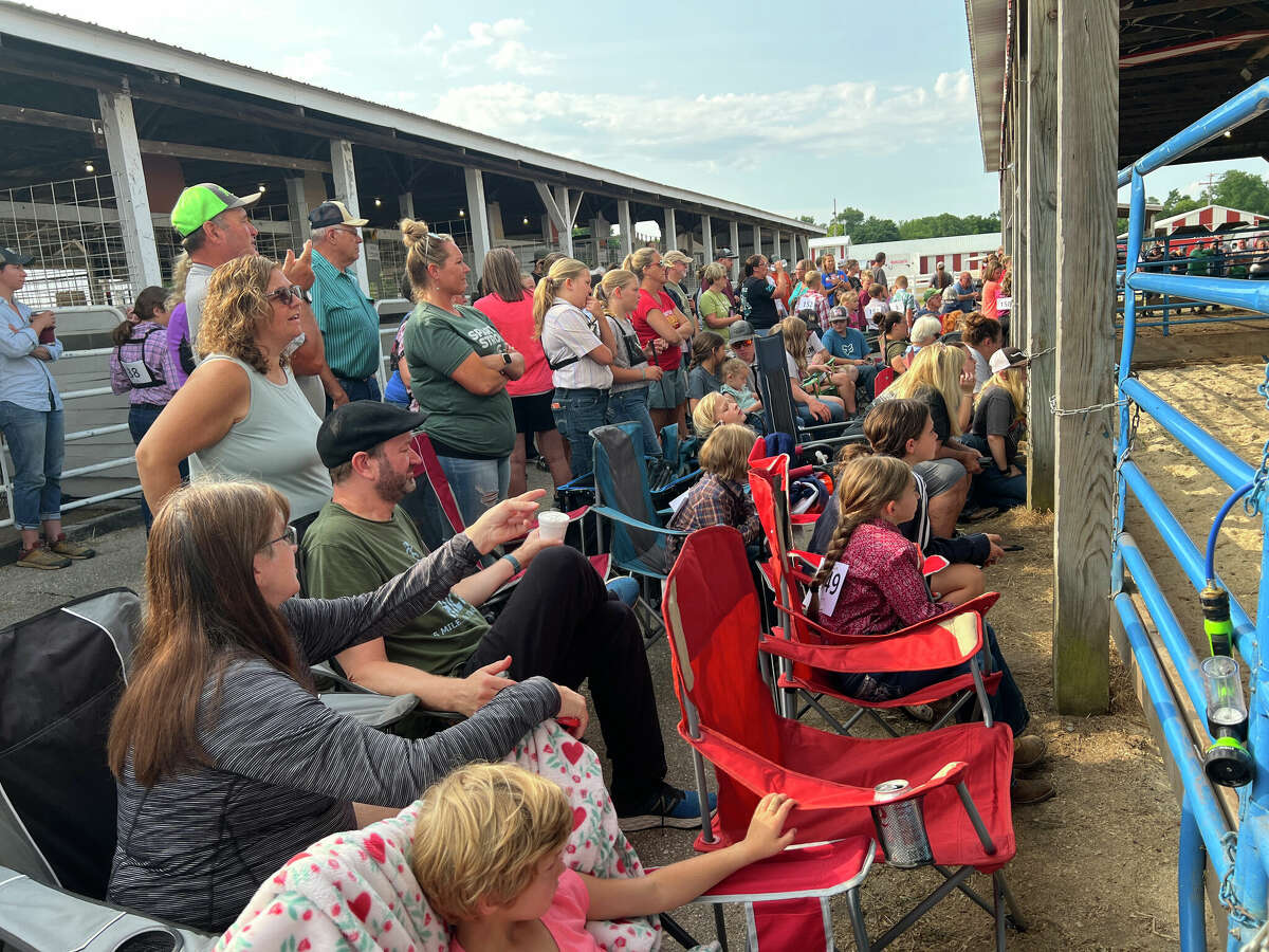 Swine Show begins second day of Mecosta County Fair in Big Rapids