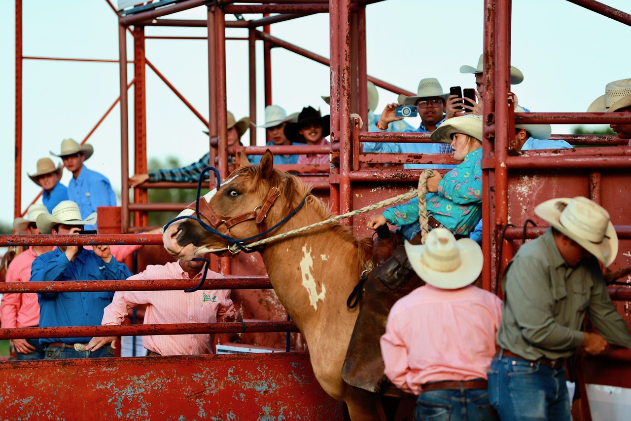Rodeo Quick Draw Contest at Kristian Christenson blog