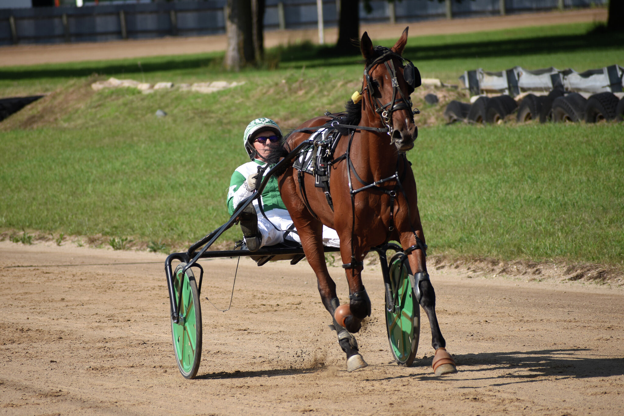 PHOTOS: Harness Racing Night Two at the Mecosta Free Fair