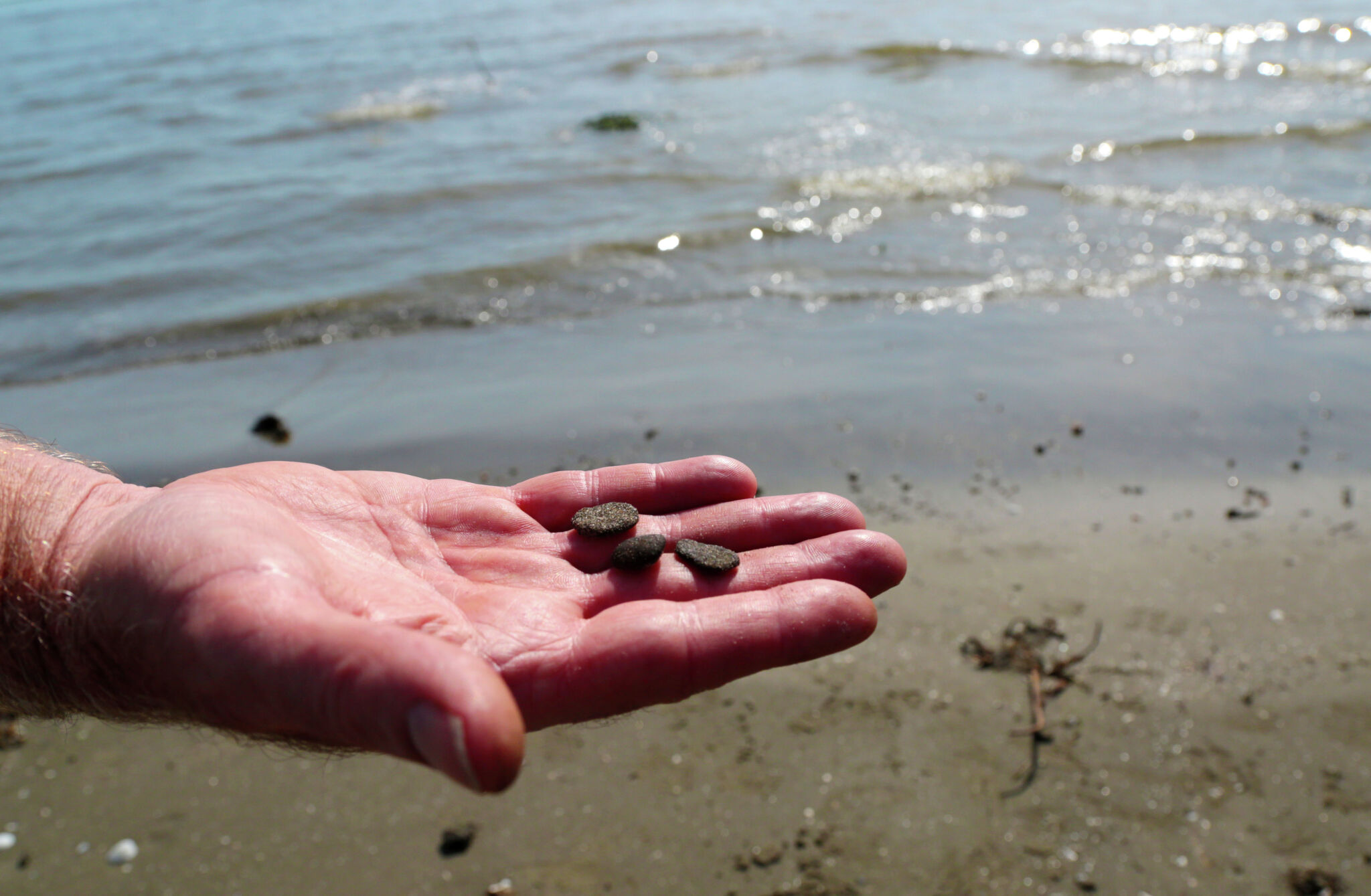 Sticky Black Gobs on the Beach: The Science of Tarballs
