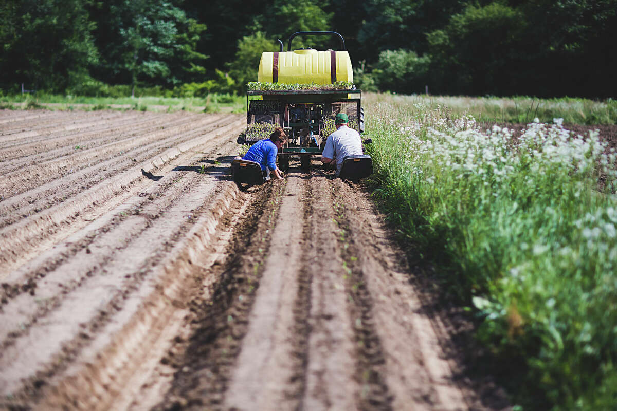 A way to make agriculture work better for farmers and farmworkers