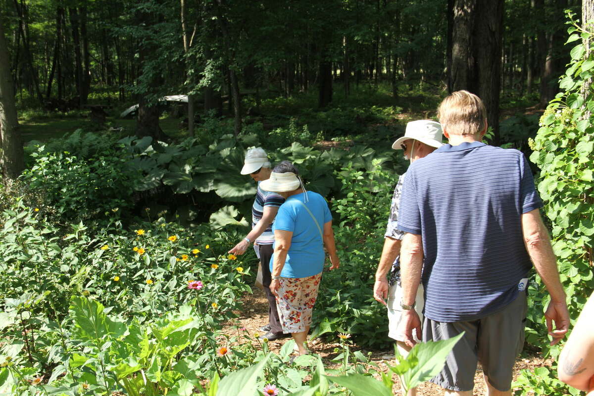 GardenWalk attracts enthusiasts and viewers at 20th annual event